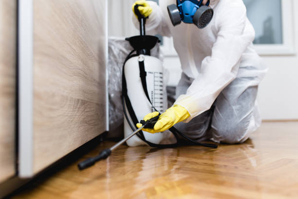 Wasp Removal Services in Silver Creek, NY