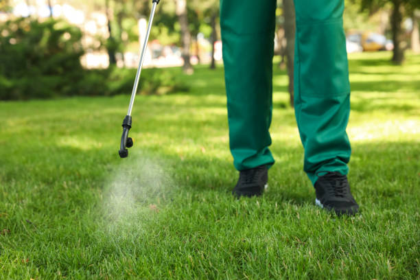 Best Best Pest Control Companies  in Silver Creek, NY