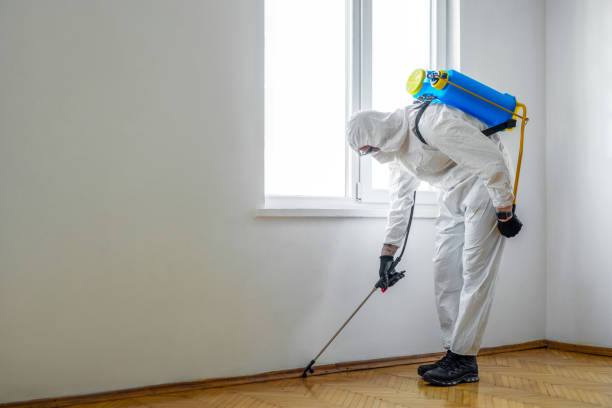 Best Pest Inspection Near Me  in Silver Creek, NY