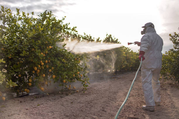 Best Mosquito Control Services  in Silver Creek, NY