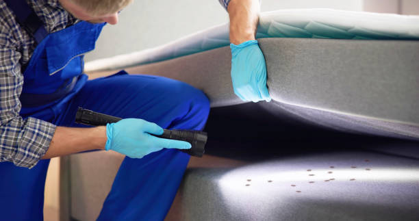 Best Cockroach Control Services  in Silver Creek, NY