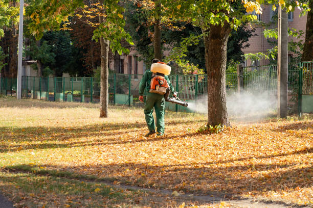 Best Affordable Pest Control Services  in Silver Creek, NY