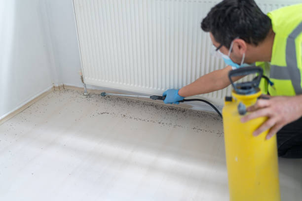 Best Affordable Pest Control Services  in Silver Creek, NY