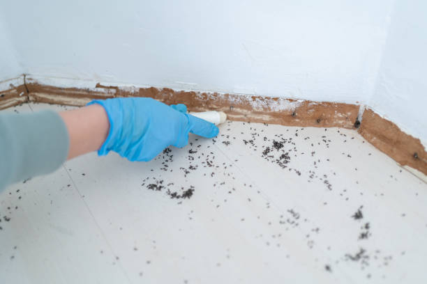 Best Wildlife Control Services  in Silver Creek, NY