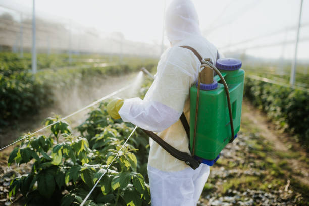 Professional Pest Control in Silver Creek, NY